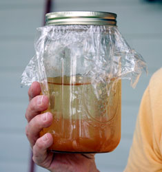 Contaminated Water from the town of Stephens, Wise County Va. 