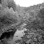 Above, Daddy’s Creek, one of the tributaries to the Obed River, part of the Emory River system. Top inset, the Tennessee Dace, a fish known from the Emory River system.