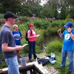 The University of Kentucky’s rain garden is used as a living-learning lab for students. Photo courtesy of the University of Kentucky