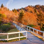 walkway up the mountain