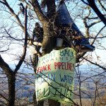 a tree sit on Peters Mountain