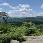 View of Pisgah National Forest