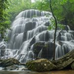 Yellow Branch Falls