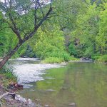 Bluestone National Scenic River