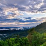 Forested mountain view