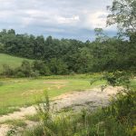 grass grows on fresh dirt at former Ginsburg site