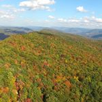 Warbler Ridge Preserve