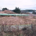 mountain valley pipeline