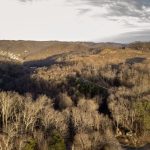 rolling hills with winter trees