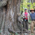 Bill and Lynn Limpert