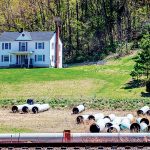 Mountain Valley Pipeline pipes litter the ground along the pipeline in front of a Virginia home.